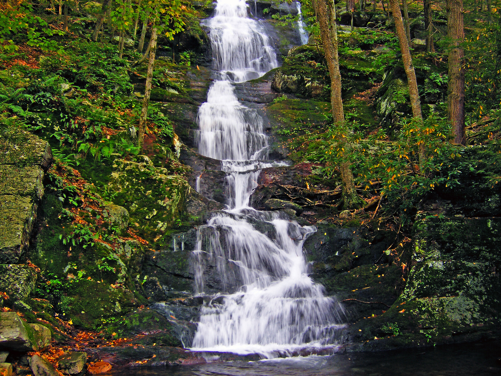 Buttermilk Falls cascading through a green forest in northwest New Jersey