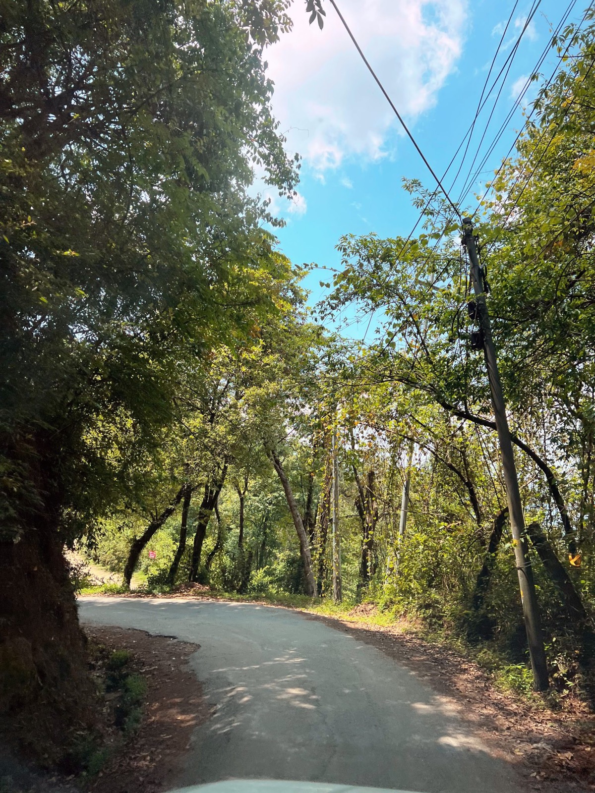 Electric vehicle on a green Earth Day adventure