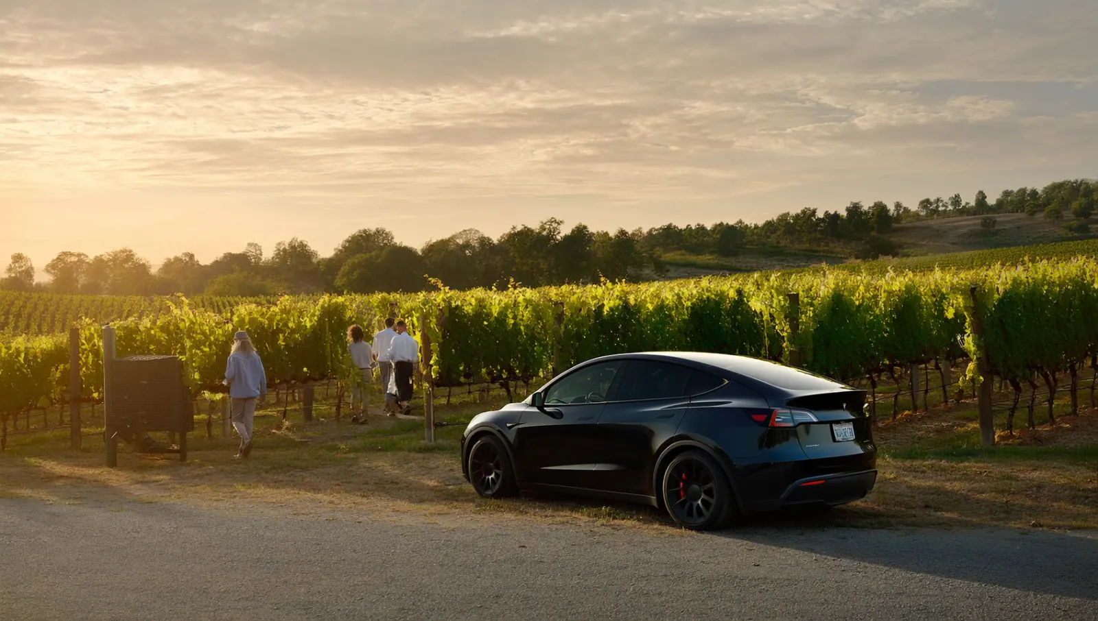 Luxury car at vineyard
